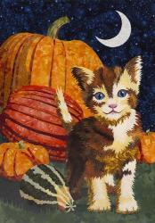 Calico Kitten & Pumpkins | Obraz na stenu
