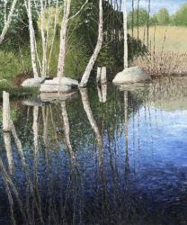 Reflections in a Blue Pond | Obraz na stenu