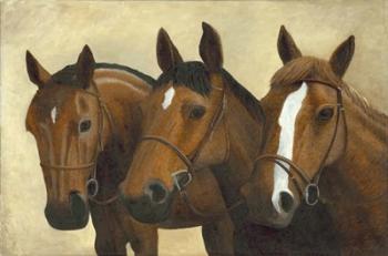 3 Horses | Obraz na stenu