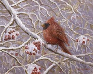 Cardinal and Wild Berries | Obraz na stenu