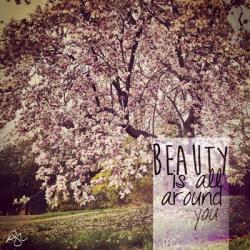 Beauty Is | Obraz na stenu