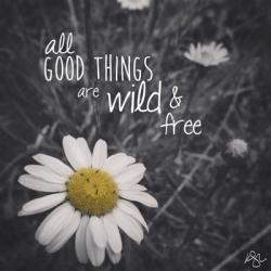 Wild And Free 1 | Obraz na stenu