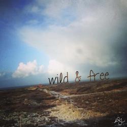 Wild And Free 2 | Obraz na stenu