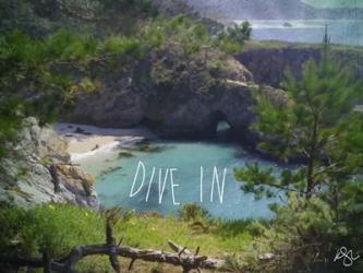 Dive In | Obraz na stenu