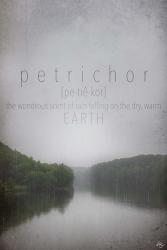 Petrichor Definition | Obraz na stenu