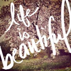 Life is Beautiful | Obraz na stenu