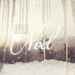 Joyeux Noel | Obraz na stenu