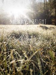 Merry and Bright | Obraz na stenu