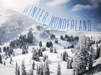 Winter Wonderland | Obraz na stenu