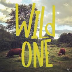 Wild One | Obraz na stenu