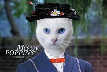 Meowy Poppins | Obraz na stenu