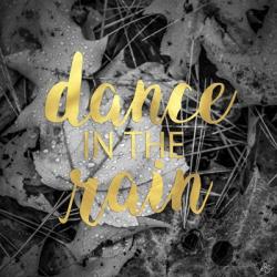 Dance In The Rain | Obraz na stenu