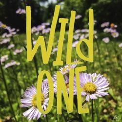 Wild One Flowers | Obraz na stenu