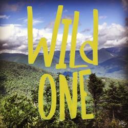 Wild One Mountains | Obraz na stenu