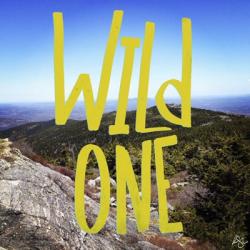 Wild One View From The Top | Obraz na stenu