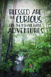 Blessed are the Curious | Obraz na stenu