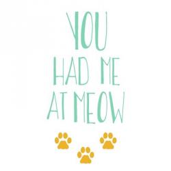 You Had Me At Meow | Obraz na stenu