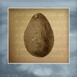 Avocado in Three 01 | Obraz na stenu