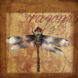 Dragonfly I | Obraz na stenu