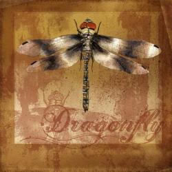 Dragonfly II | Obraz na stenu