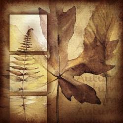 Autumn I | Obraz na stenu