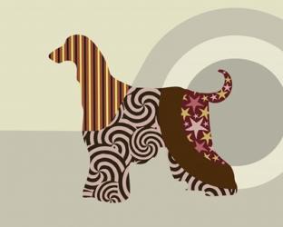 Afghan Hound Dog | Obraz na stenu