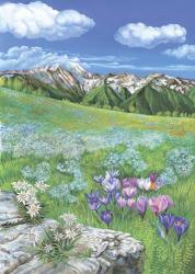 Alpine meadows | Obraz na stenu