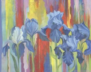 Irises | Obraz na stenu