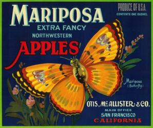 Mariposa Apples Butterfly Ad | Obraz na stenu