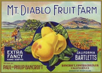 Mt. Diablo Fruit Farm Bartletts | Obraz na stenu