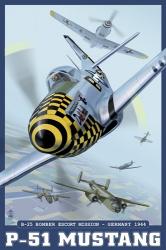 P-51 Mustang Airplane Ad | Obraz na stenu