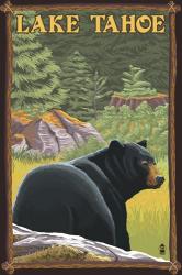 Lake Tahoe Bear | Obraz na stenu