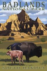 Badlands National Park Wilderbeest | Obraz na stenu