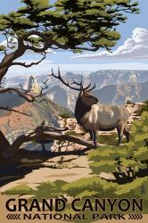 Grand Canyon Park Elk | Obraz na stenu