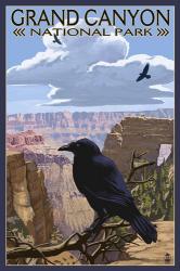Grand Canyon National Park (crow) | Obraz na stenu