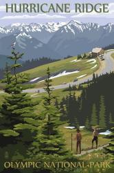 Hurricane Ridge Olympic Park | Obraz na stenu