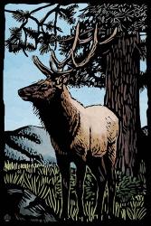 Elk 4 | Obraz na stenu