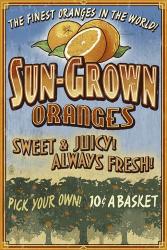 Sun Grown Oranges | Obraz na stenu