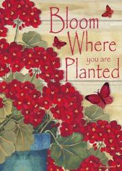 Bloom Where You Are Planted | Obraz na stenu