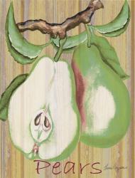 Pears | Obraz na stenu
