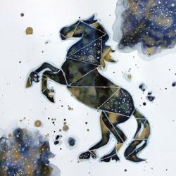 Galactic Horse | Obraz na stenu
