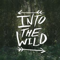 Into the Wild | Obraz na stenu