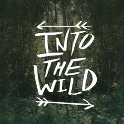 Into the Wild | Obraz na stenu