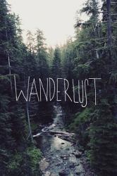 Wanderlust Rainier Creek | Obraz na stenu
