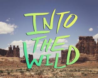 Into the Wild (Moab) | Obraz na stenu