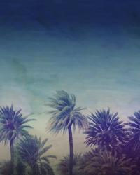 Palm Paradise | Obraz na stenu