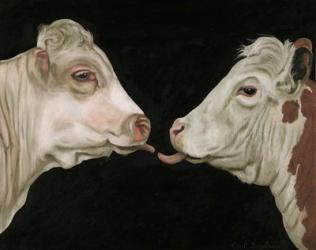Cow Lick | Obraz na stenu