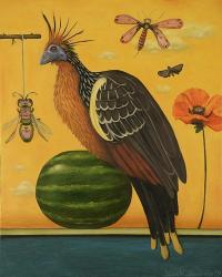 Hoatzin | Obraz na stenu