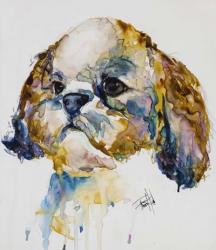 Shih Tzu | Obraz na stenu