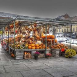 Byward Market Pumpkins | Obraz na stenu